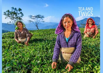 Brewing Success: Priyanka’s Journey with Tea and Twigs